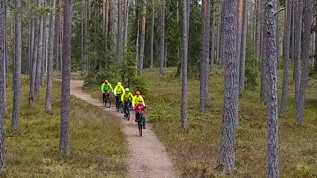 Roligt, utmanande, bra träning – och dessutom en härlig familjeaktivitet. Familjen Sandelin utanför Hjo tar gärna med sig MTB-cyklarna när de reser i väg med husvagnen eller till årsplatsen på Hökensås.

